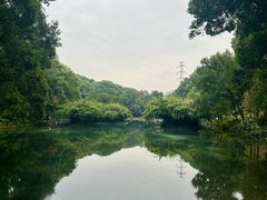 -忠山公园