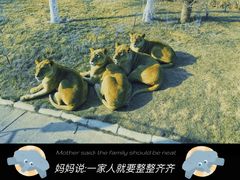 -北京野生动物园