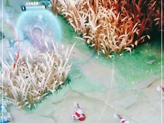 -网鱼电竞(杨浦中原店)