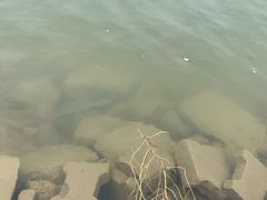 -乌梁素海景区