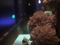 -索拉古贝(义乌北苑店)