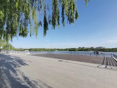 -大兴滨河森林公园