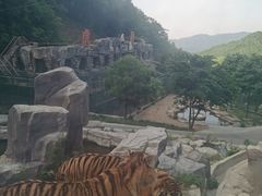 -栾川竹海野生动物园