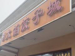 -小叶大馅饺子城