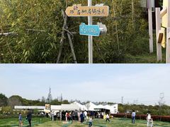 -嘉北郊野公园