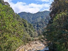 -姑婆山旅游区