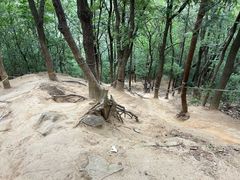 -灵岩山风景区