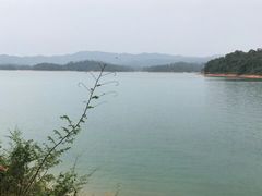 -广州市流溪河国家森林公园