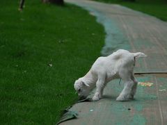 -合肥滨湖国家森林公园