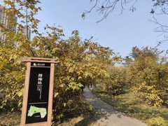 -塔子山公园