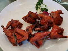 红烧乳鸽-新灿记大酒楼