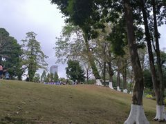 -广西壮族自治区药用植物园