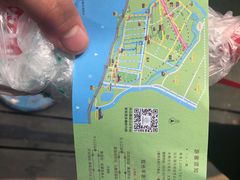 -合肥滨湖国家森林公园