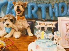 -百好乐宠物友好餐厅(朝外大街店)