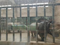 -石家庄市动物园