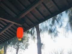 -漩门湾国家湿地公园