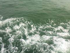 -澳门环岛游湾仔码头