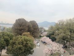 -南京城墙景区