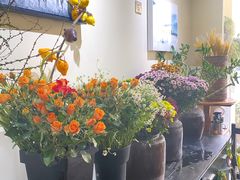 -花落谁家(景瑞曦城店)