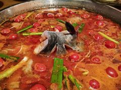 -新凯里酸汤鱼(飞山街店)