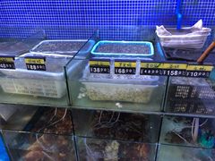 水产区-蟹老板的海鲜