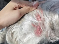 -畜牧兽医站(共江路店)