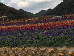 -广州市石门国家森林公园