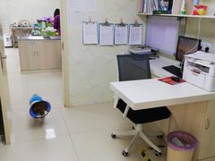 -宠颐生宠物医院·骨外科·犬猫全科诊疗中心(池州店)