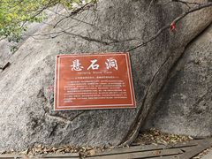 -六里坪国家森林公园