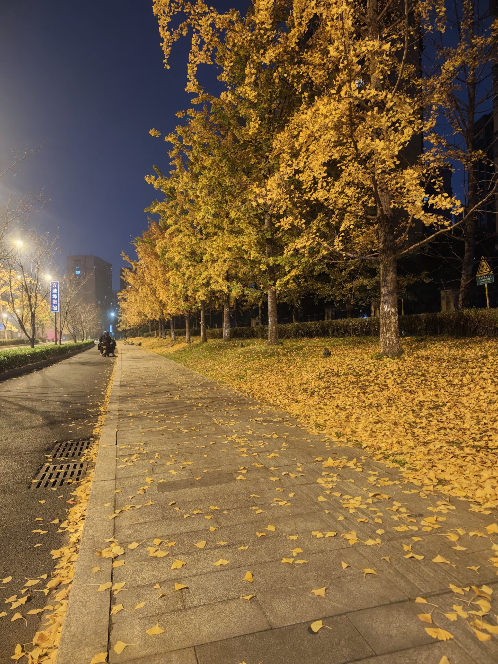 第一次深夜出门,虽然天很冷,但是没想到马路边还有