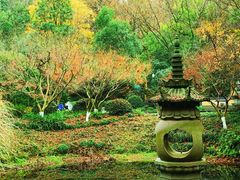 -慧因高丽寺