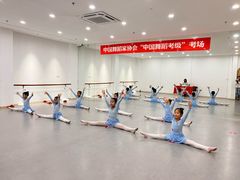 -飞童凡响艺术学校(松江区九里亭校区)