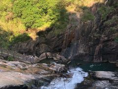 -广州白江湖森林公园