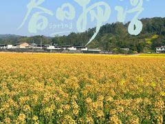 -碧峰峡风景区