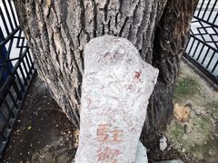 -白云观