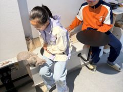 -琪喵猫屋·撸猫猫咖·猫舍