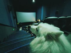 -幸福蓝海国际影城(崇安寺T12店)