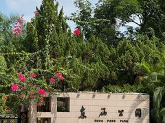 -东风公园
