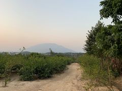 -满記土窑烧鷄波浪山莊