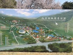 -香山公园