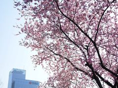 -白塘生态植物园