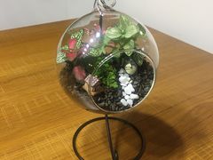 -A+匠心DIY手工坊·首饰·微景观