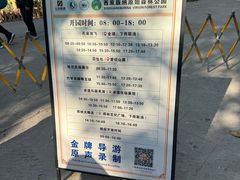 -西双版纳原始森林公园
