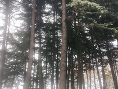 -大雁塔北广场音乐喷泉