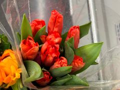 -循礼门鲜花花市(武汉循礼门店)