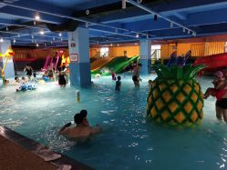 点击看大图 -宝燕乐园(闵行旗舰店)