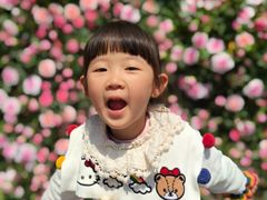 -证大大拇指广场(芳甸路店)