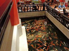 -龙悦湾酒家·八阵鱼生·渔人码头店