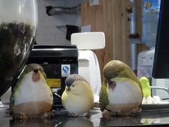 -妈妈的味道(工人体育场东路店)