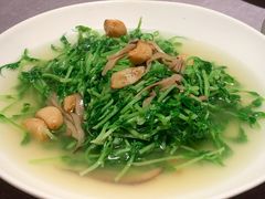 上汤豆苗-金鸭季·北京烤鸭(深业上城店)